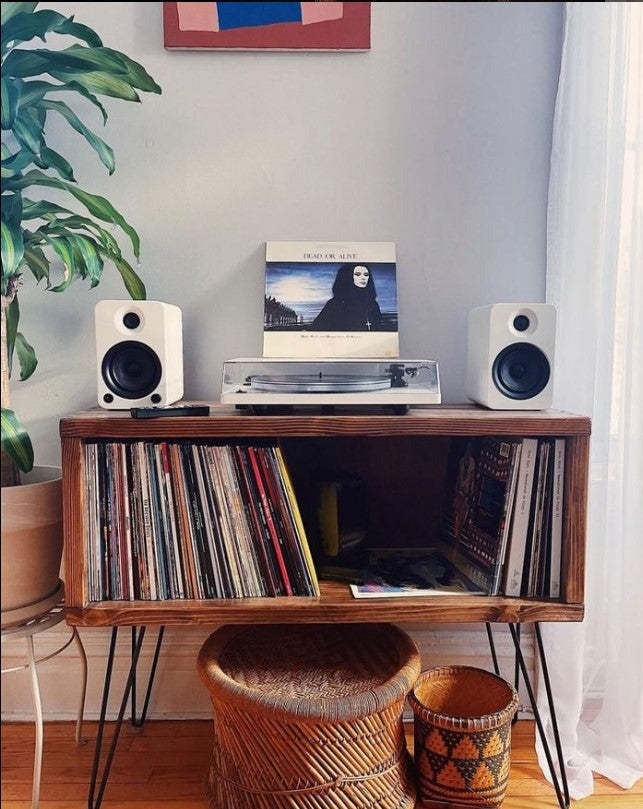 Vinyl Record Storage Entertainment Center