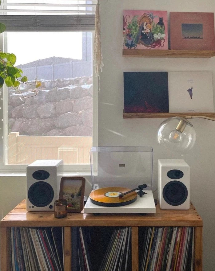 Vinyl Record Storage Entertainment Center
