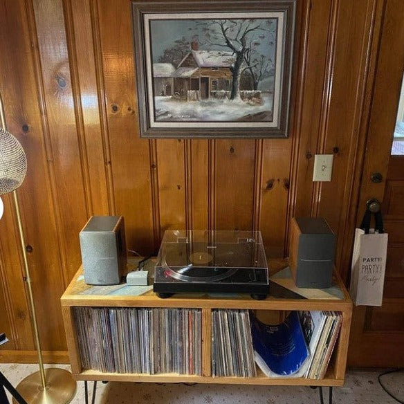 2Sec Vinyl Record Storage