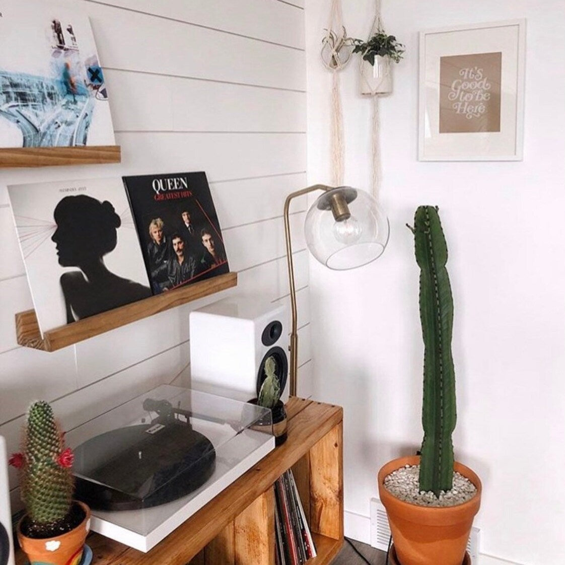 Now Playing Record Shelf w/Large Lip
