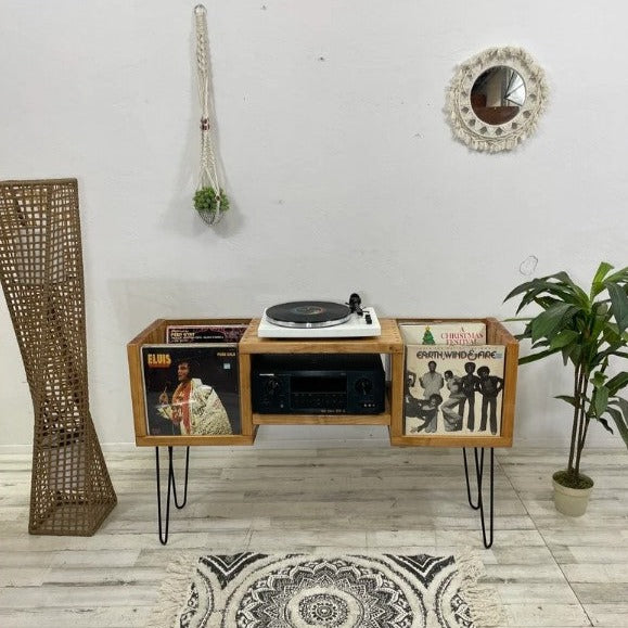 FlipThru Vinyl Record Storage Ocean Beach Pallet Co