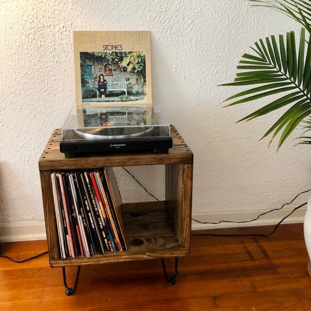 Rec Baby Got No Back Vinyl Record Storage Record Player Stand Ocean Beach Pallet Co