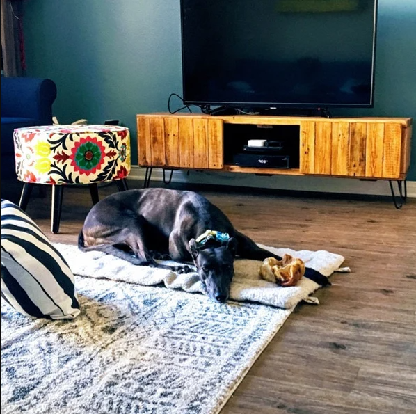TV Stand with Doors