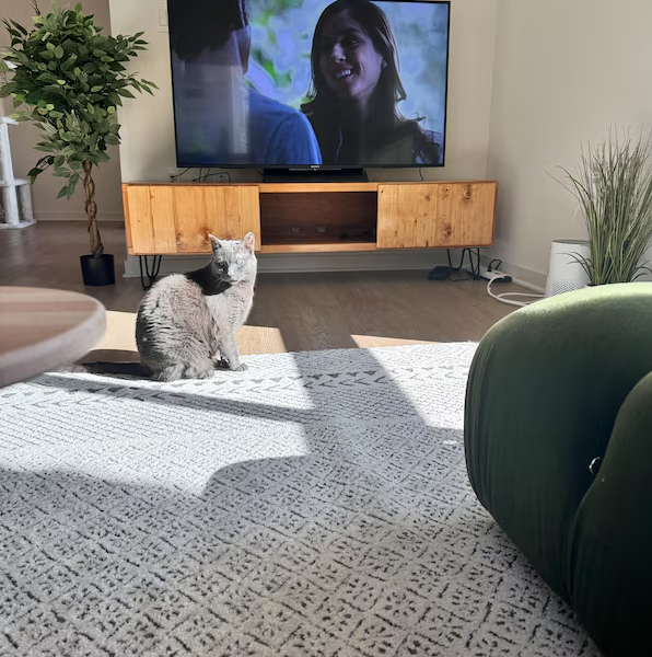 TV Stand with Doors