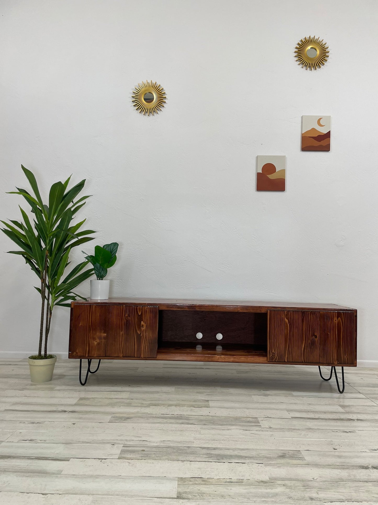 TV Stand with Doors