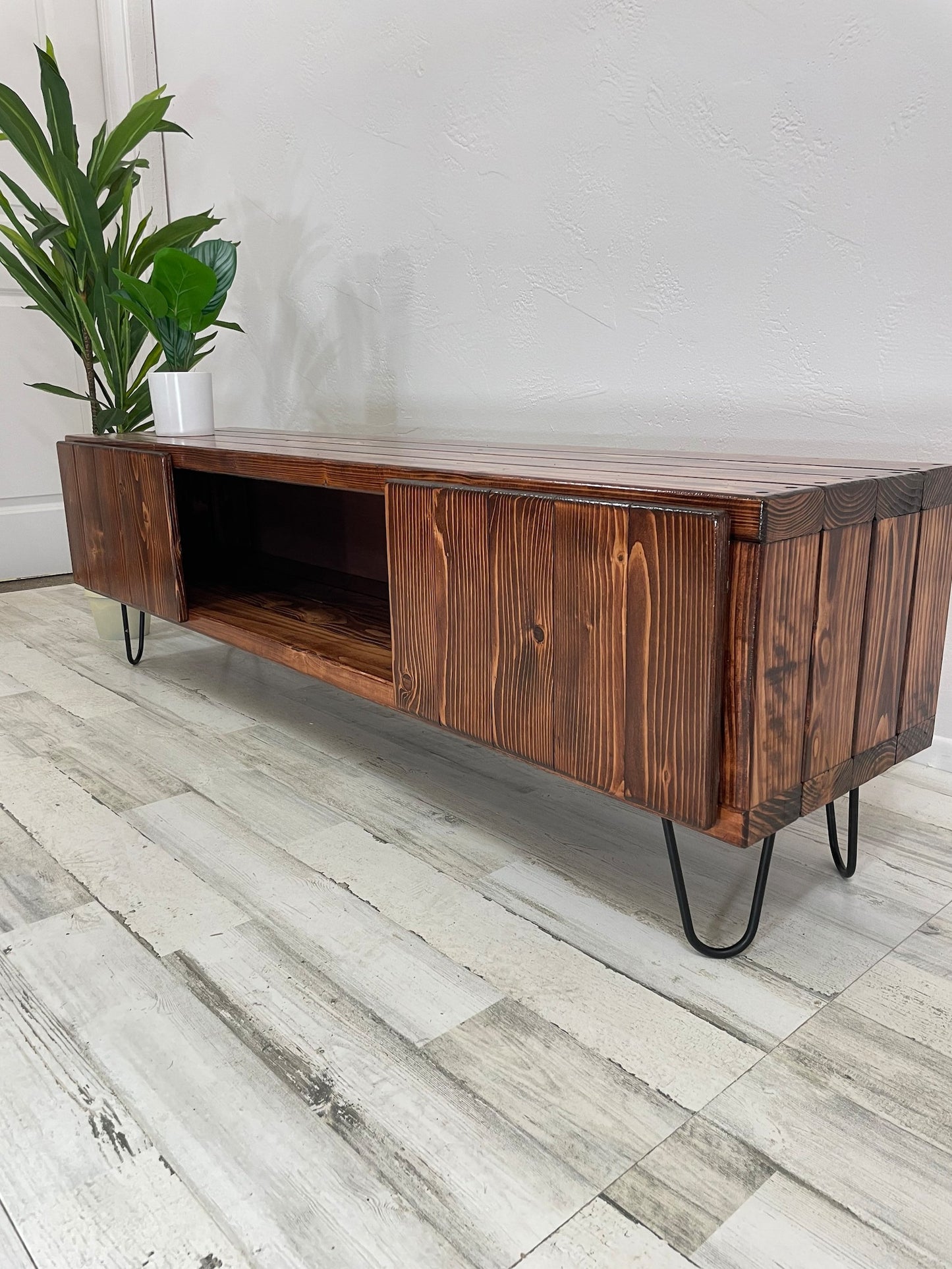 TV Stand with Doors