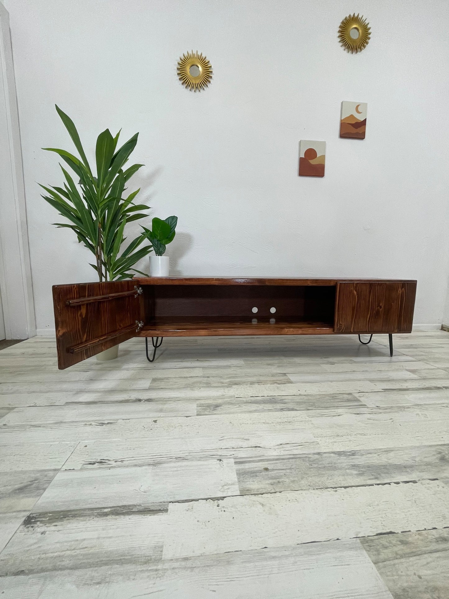 TV Stand with Doors
