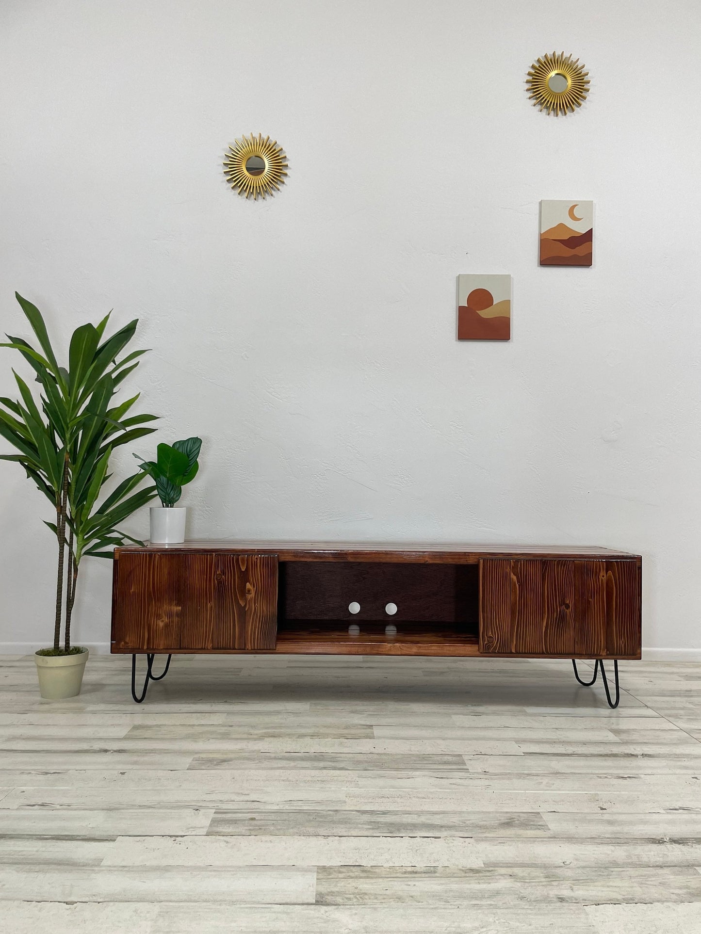 TV Stand with Doors