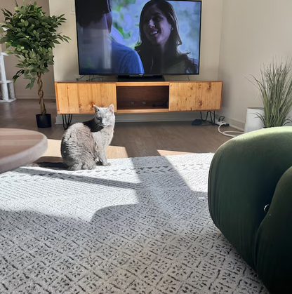 TV Stand with Doors