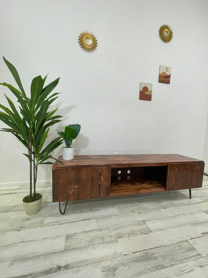 The TV Stand with Doors